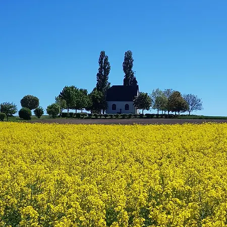 Hedi Apartment Mertloch