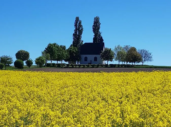 Hedi Apartamento Mertloch